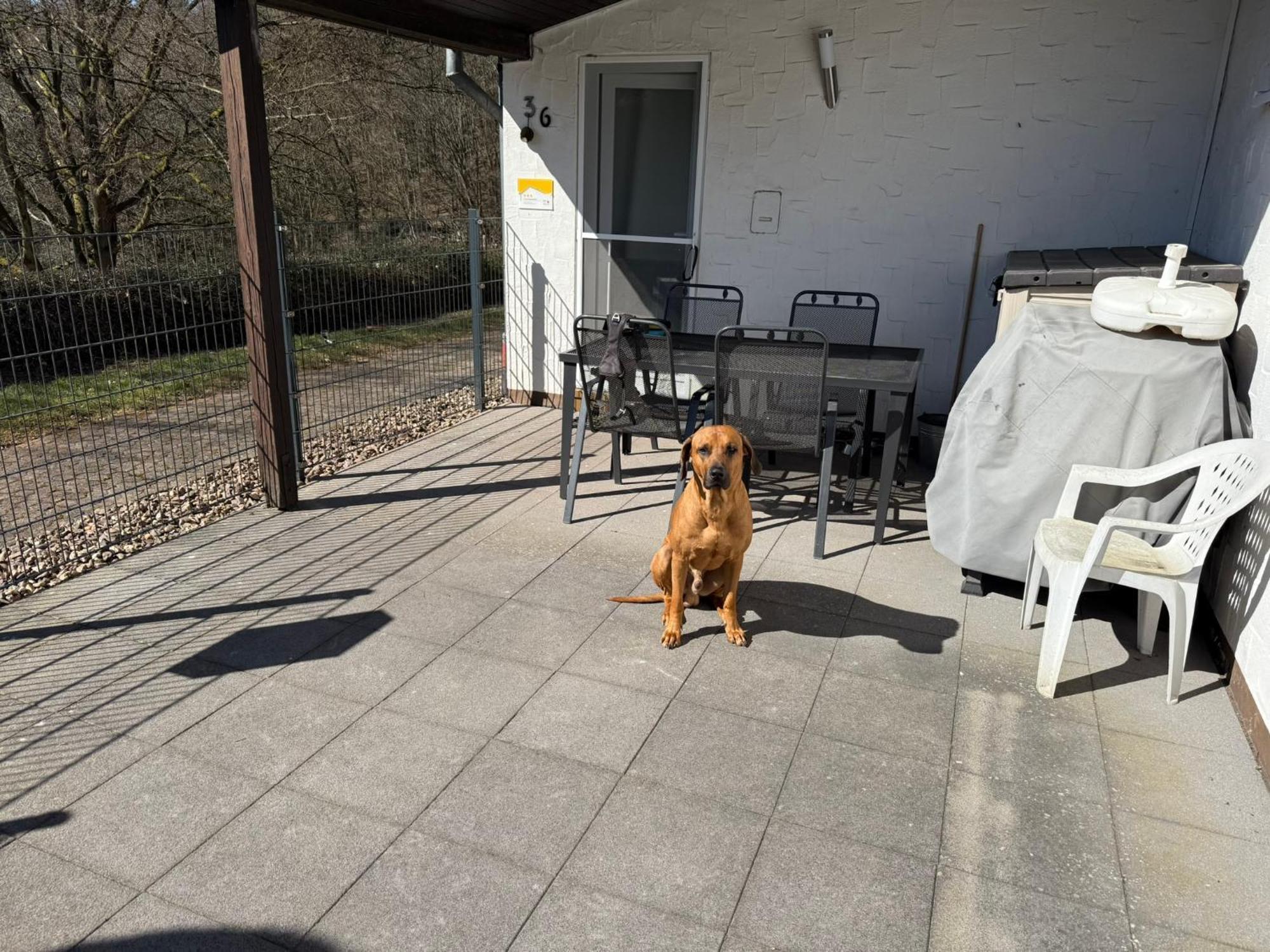 Ferienhaus Stausee Bitburg Biersdorf am See ภายนอก รูปภาพ